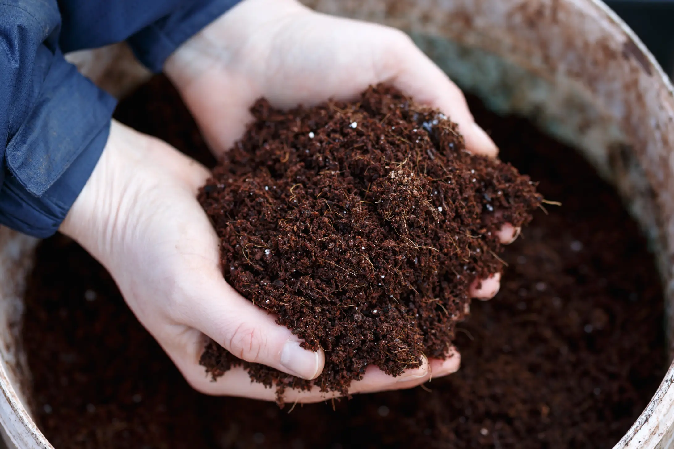 Tree mulching to improve soil health with sustainable desert tree care practices