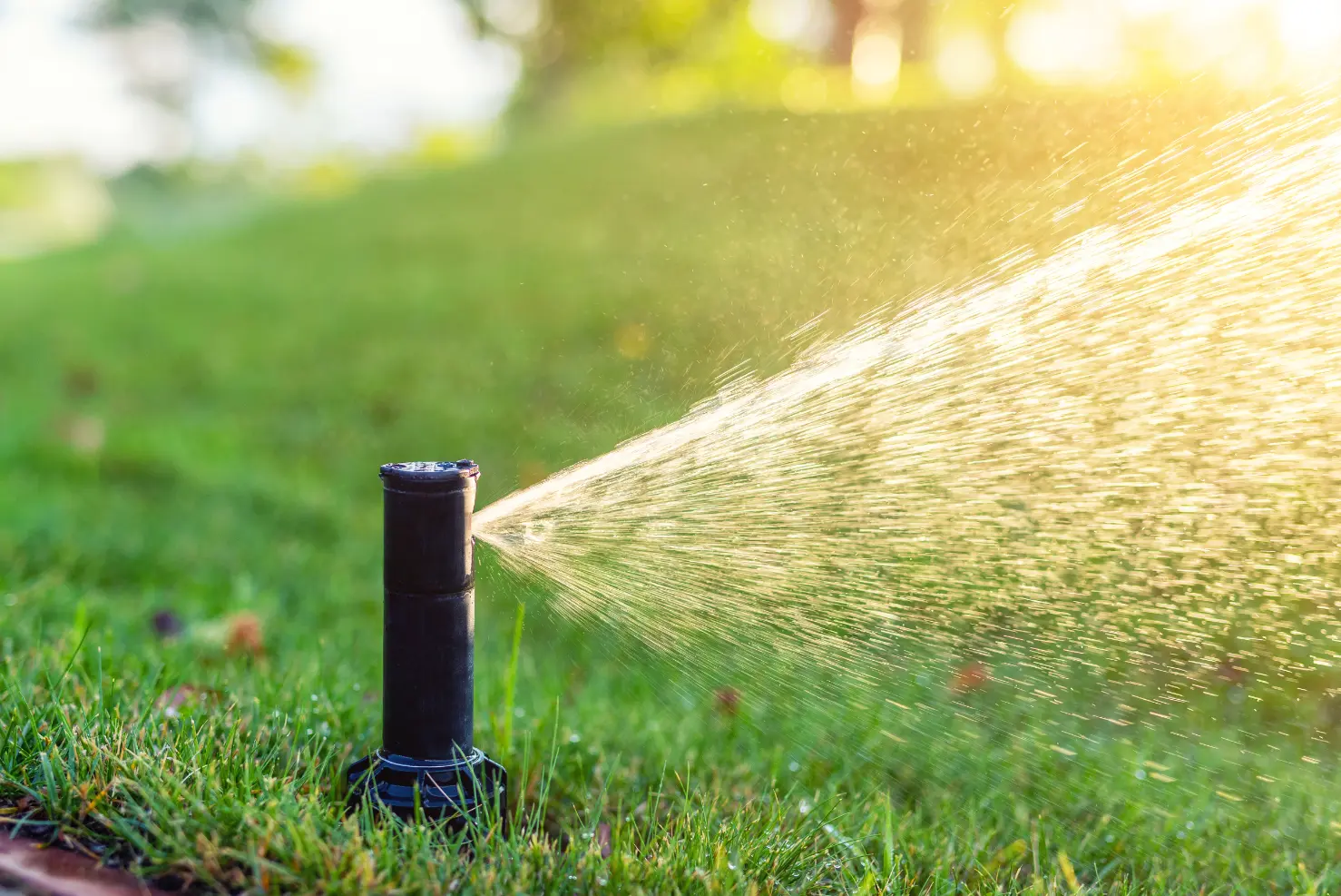Close-up of a sprinkler in a lawn spraying water